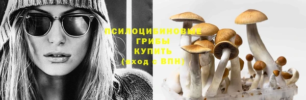 бошки Гусь-Хрустальный