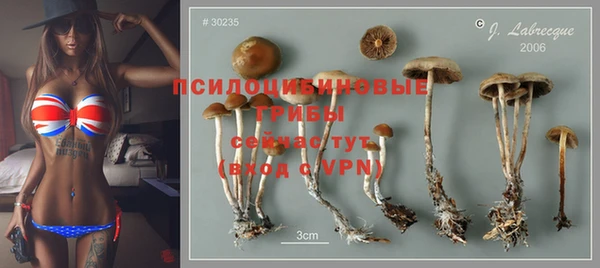 бошки Гусь-Хрустальный