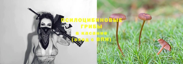 бошки Гусь-Хрустальный