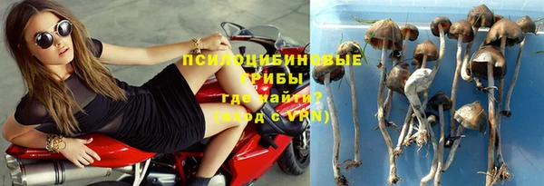 мяу мяу кристалл Гусев