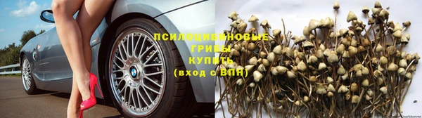 бошки Гусь-Хрустальный